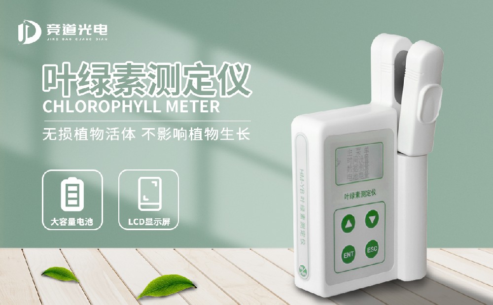 ʹ��Ҷ���زⶨ������ֲ��ҶƬ���