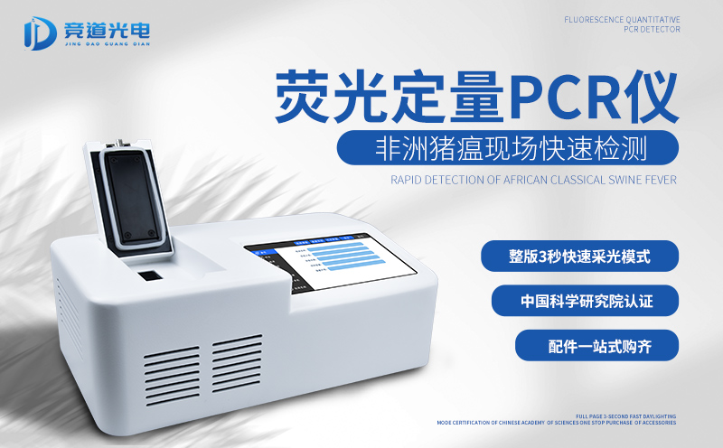 ����Щ����������������