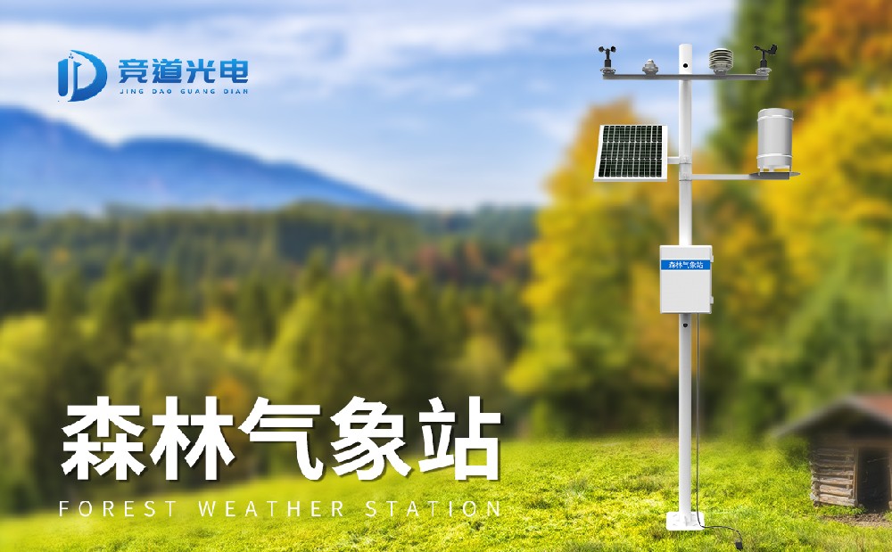 ɭ��������վ����Ҫ������������