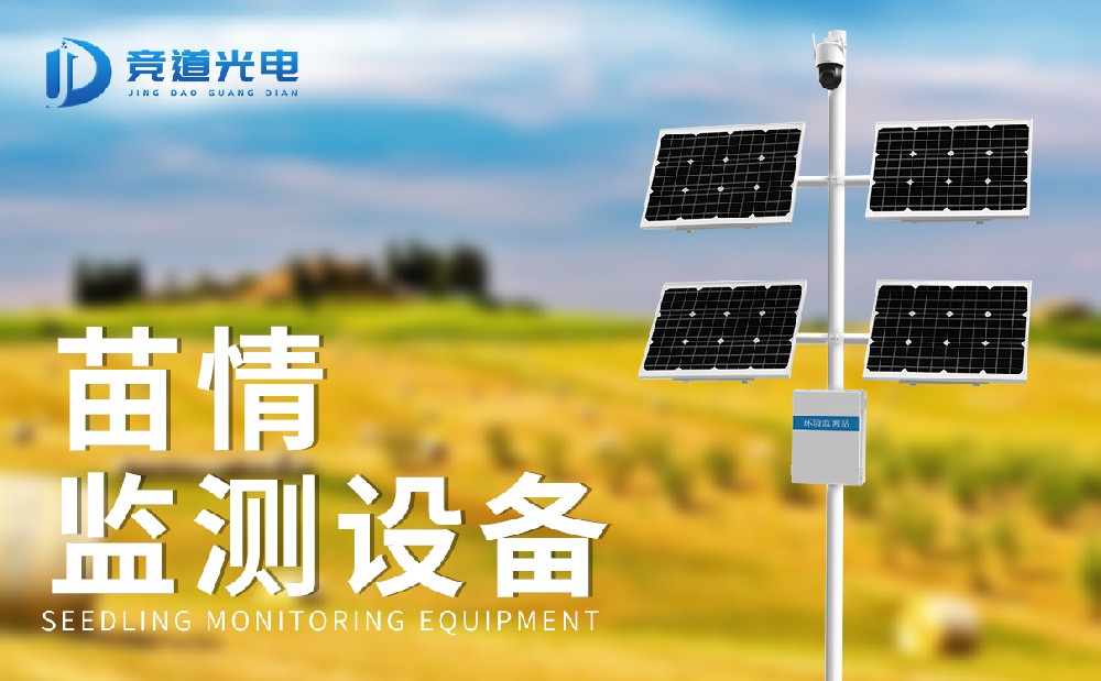 ũ����������վ