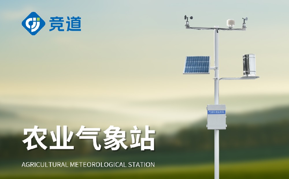 ����������վ���ô����������