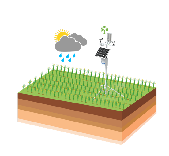 �ٲ���cbin99(�й�)�ٷ���վ