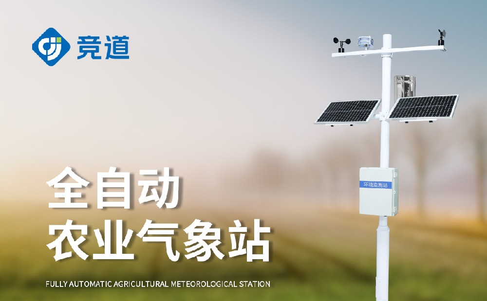 ũҵ����վ����ѡ��ɽ���ٲ�