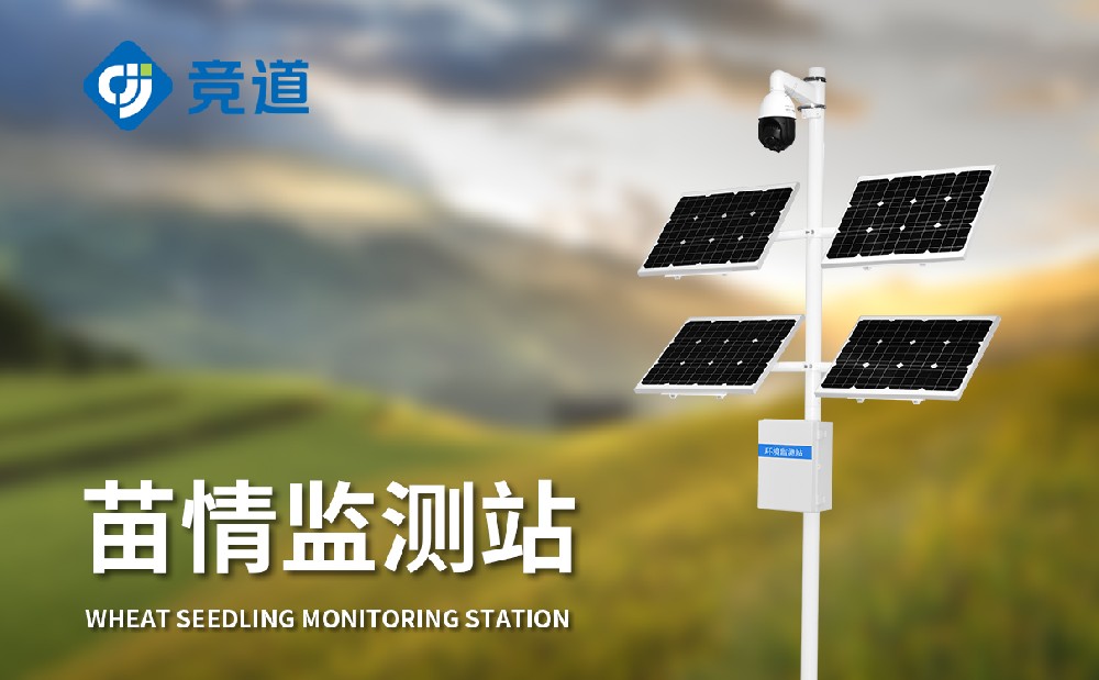 ������վԶ��������������������