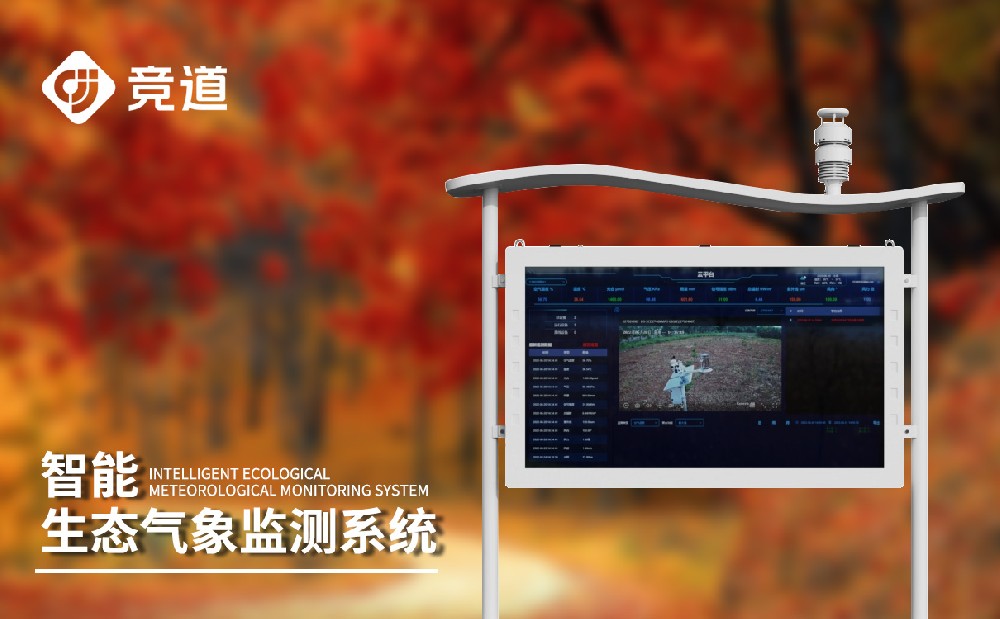 �������Ӽ��ϵͳ