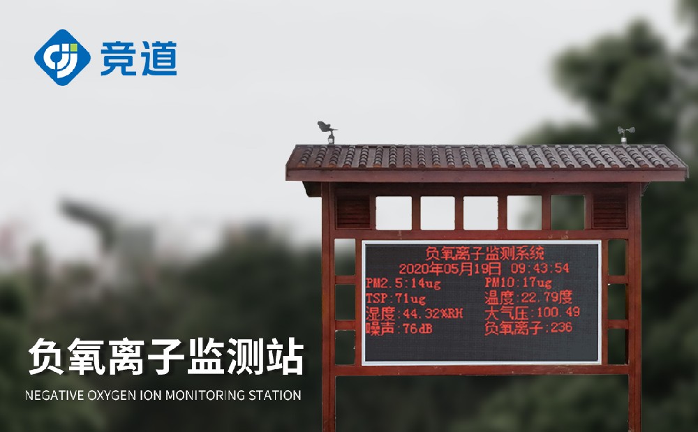 ��������������վ