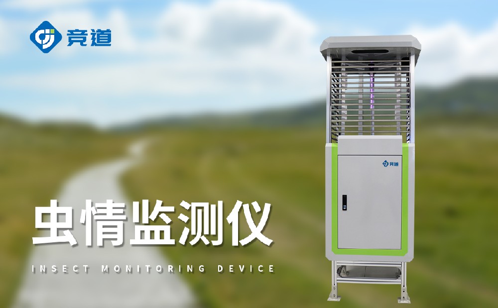 ������վ