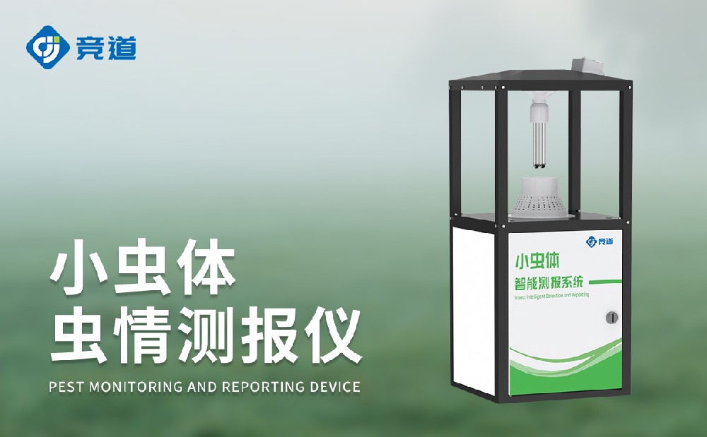 С�������ⱨ�Ǿ�׼����΢С����������Ϣ