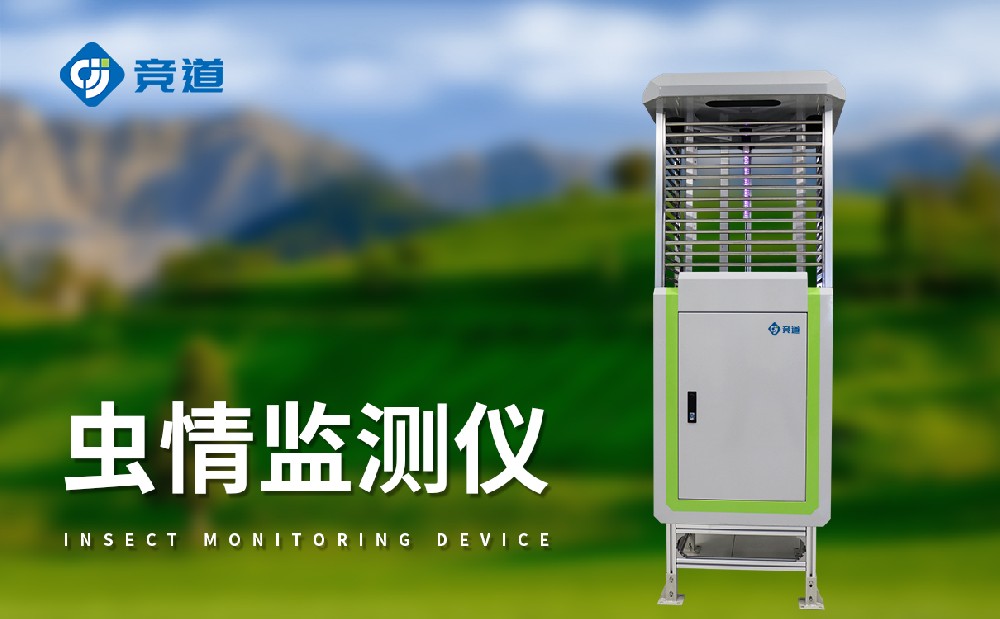 ����ⱨ��