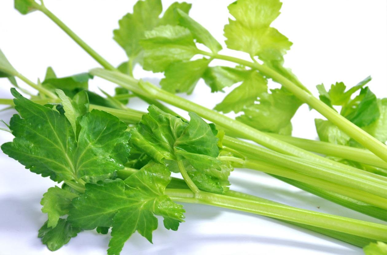 �߲��Ǹ�������Щ��λҲ���ã�