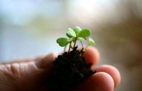 �����䷽�������Ҽ۸񼸶�Ǯ