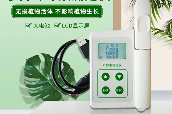 Ҷ���زⶨ���ĸ�Ʒ�ƺ�