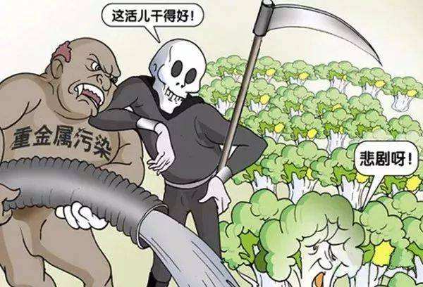 ��ʳ������λ�ð�����