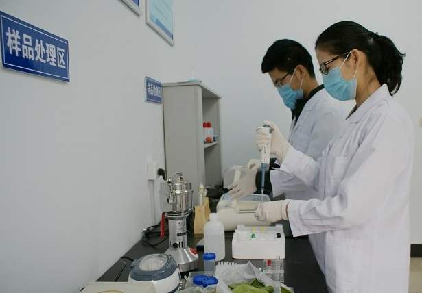 ʳƷ�����������Ҫ��Ч