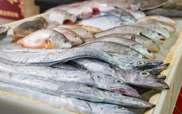 ǳ��ˮ��Ʒҩ���������ǵ������Լ�ҩ�����Σ��������