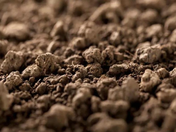 �������ּ���Ǽ۸��Ǽ�����