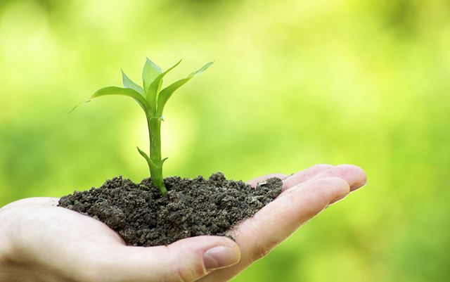 �����������Ʒ��