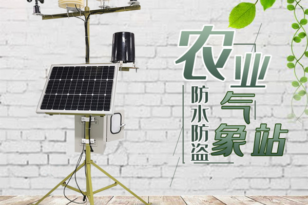 田间气象站 田间气象站