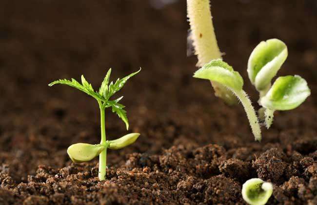 ��Яʽ���������ٲ���