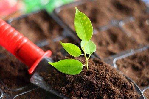 便携式土壤养分速测仪改良土壤施肥事情 便携式土壤养分速测仪改良土壤施肥事情