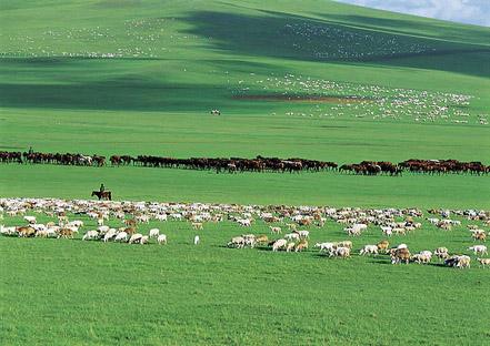 ��ԭ����������ϵͳ