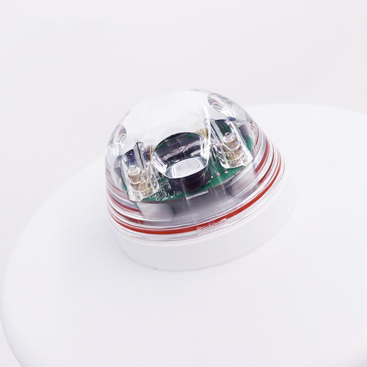 2021�곬�������ٷ������ͺ��г��۸�