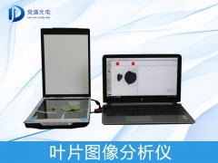 ҶƬͼ���������������