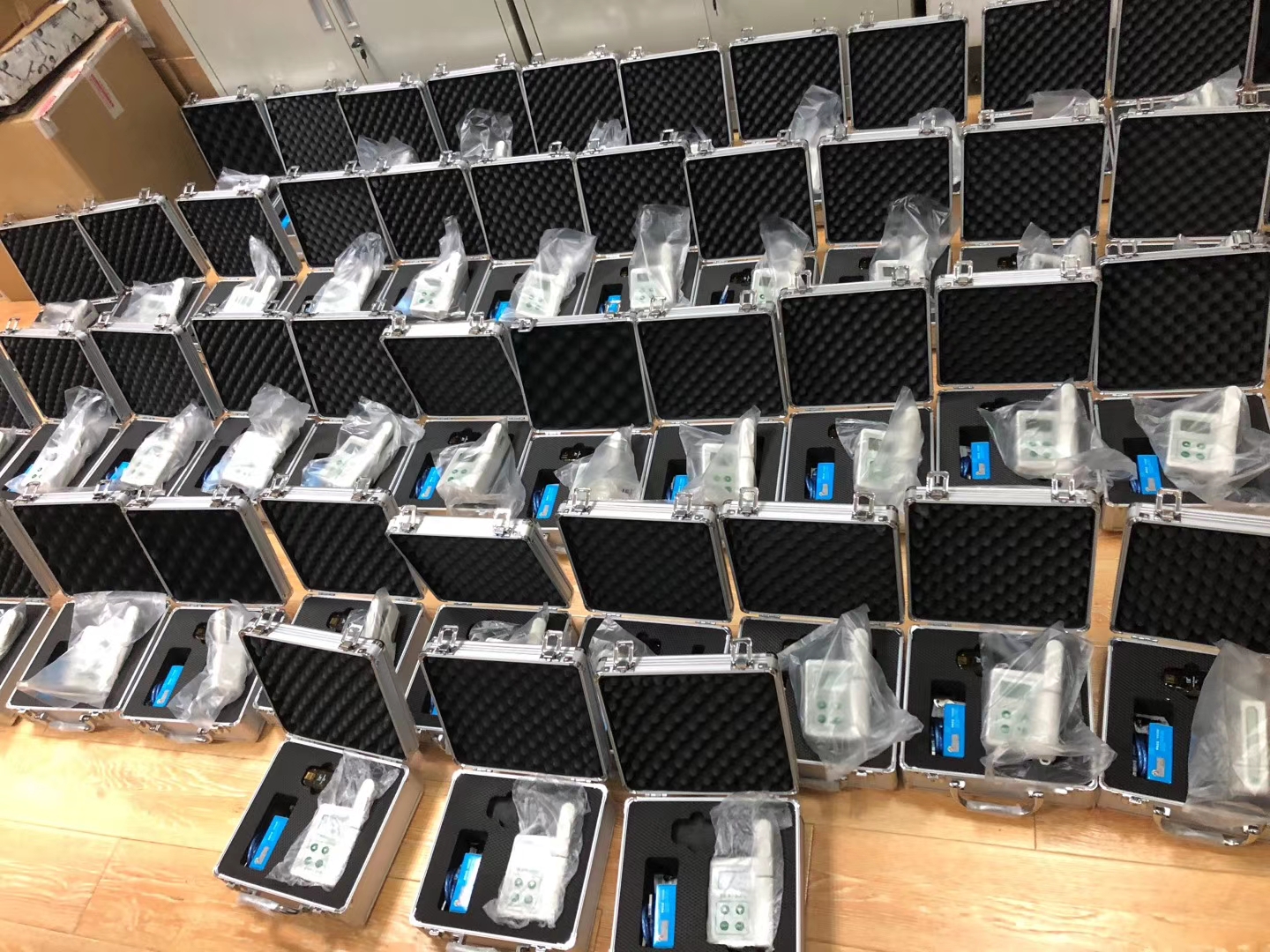 ��μ��ҶƬ�ڵ�Ҷ���غ���������Ҷ���ؼ����JD-YD