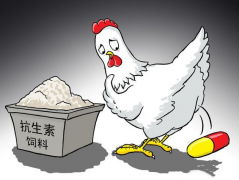 ʳƷ�����ز����������μ����