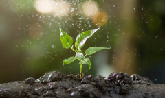 ũҵ����վ��ν������ݴ���