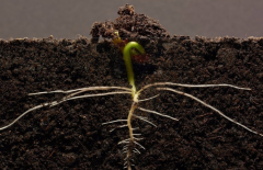 ΪʲôҪ���������л��ʼ����