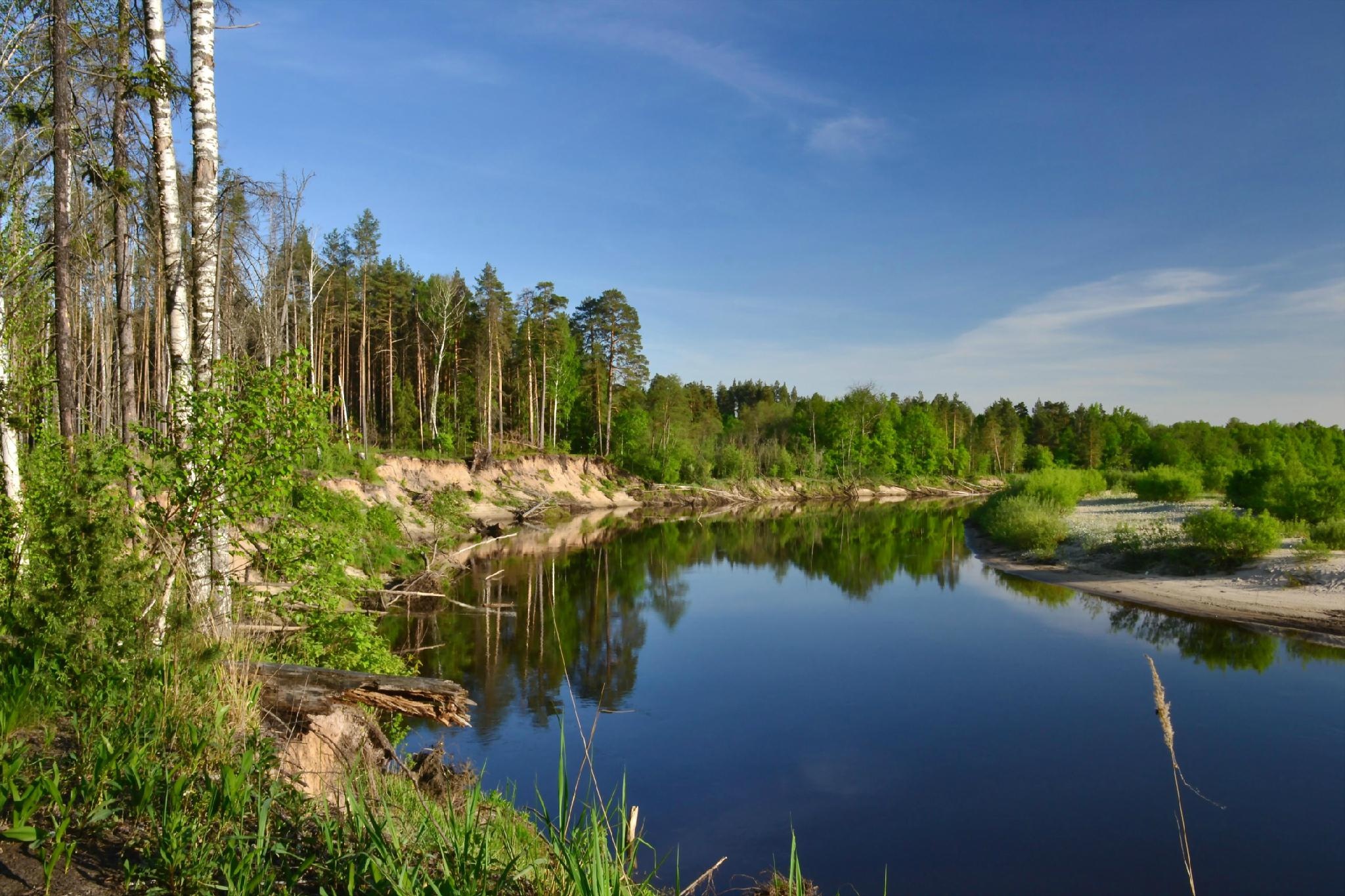 À×´ïˮλ¼ÆµÄ¼ì²âÔÀí À×´ïˮλ¼ÆµÄ¼ì²âÔÀí