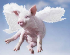 ��������׻������÷��������ļ��������